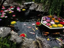 What reasons behind Oase the best Solutions for Ponds